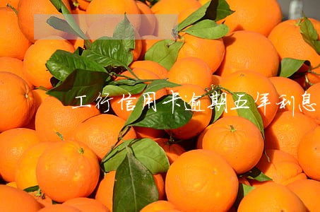 工行信用卡逾期五年利息多少