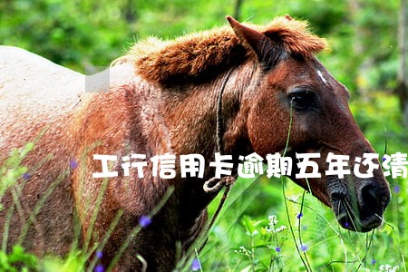工行信用卡逾期五年还清 工行信用卡逾期五年还清