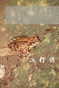 工行信用卡逾期从哪看 工行信用卡逾期从哪看