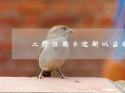 工行信用卡逾期以后利息多少 工行信用卡逾期以后利息多少