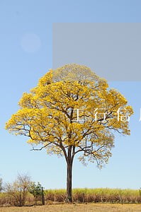 工行信用卡逾期会不会冻结银行 工行信用卡逾期会不会冻结银行