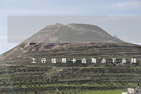 工行信用卡逾期会不会降额度 工行信用卡逾期会不会降额度
