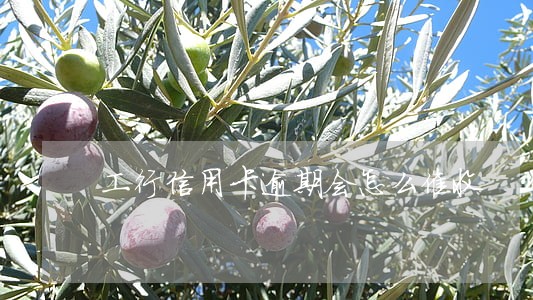 工行信用卡逾期会怎么催收 工行信用卡逾期会怎么催收