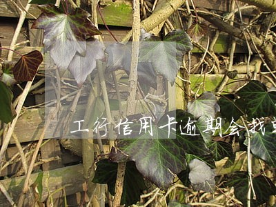 工行信用卡逾期会找单位 工行信用卡逾期会找单位