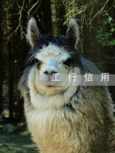 工行信用卡逾期会自动划款吗 工行信用卡逾期会自动划款吗