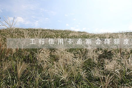 工行信用卡逾期会降额度吗