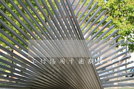 工行信用卡逾期借记卡扣款 工行信用卡逾期借记卡扣款