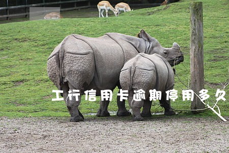 工行信用卡逾期停用多久恢复 工行信用卡逾期停用多久恢复
