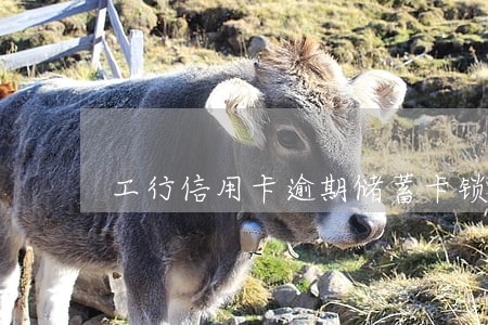 工行信用卡逾期储蓄卡锁卡 工行信用卡逾期储蓄卡锁卡