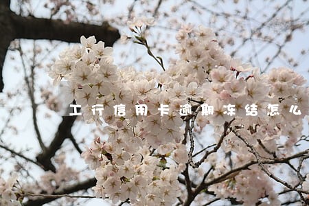 工行信用卡逾期冻结怎么还款 工行信用卡逾期冻结怎么还款
