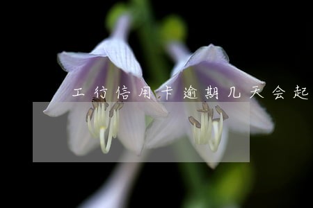 工行信用卡逾期几天会起诉 工行信用卡逾期几天会起诉