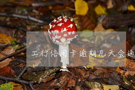工行信用卡逾期几天会通知 工行信用卡逾期几天会通知