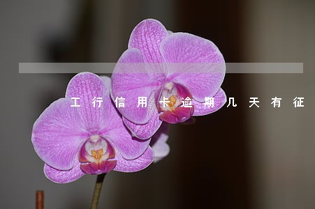 工行信用卡逾期几天有征信 工行信用卡逾期几天有征信