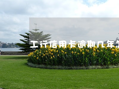 工行信用卡逾期几年怎么处理 工行信用卡逾期几年怎么处理