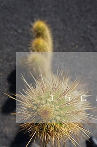 工行信用卡逾期划扣借记卡钱 工行信用卡逾期划扣借记卡钱