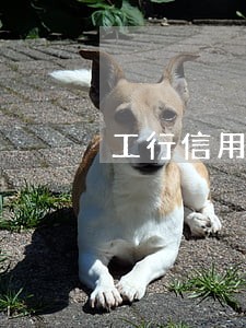 工行信用卡逾期划扣同行账户 工行信用卡逾期划扣同行账户