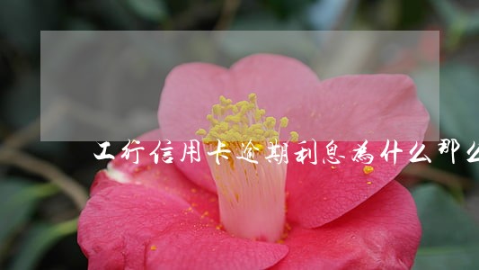 工行信用卡逾期利息为什么那么多 工行信用卡逾期利息为什么那么多