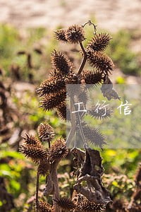 工行信用卡逾期利息多少钱 工行信用卡逾期利息多少钱