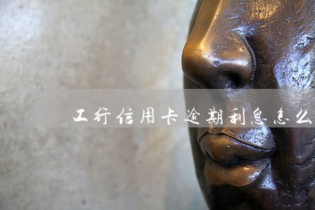 工行信用卡逾期利息怎么消 工行信用卡逾期利息怎么消