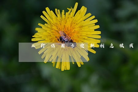 工行信用卡逾期利息核减 工行信用卡逾期利息核减