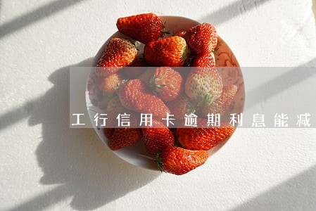 工行信用卡逾期利息能减免不 工行信用卡逾期利息能减免不