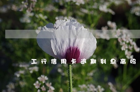 工行信用卡逾期利息高吗 工行信用卡逾期利息高吗