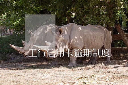 工行信用卡逾期制度 工行信用卡逾期制度