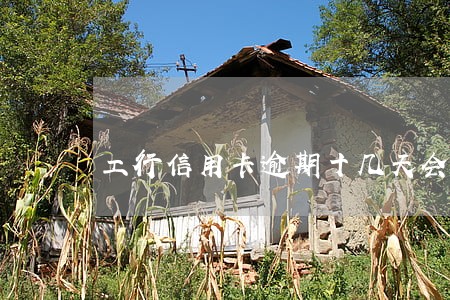 工行信用卡逾期十几天会怎样 工行信用卡逾期十几天会怎样
