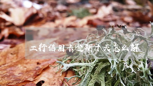 工行信用卡逾期十天怎么解