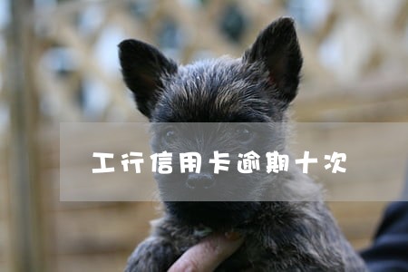 工行信用卡逾期十次 工行信用卡逾期十次