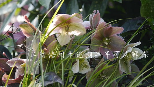 工行信用卡逾期半年可以解冻