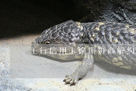 工行信用卡逾期协商解约 工行信用卡逾期协商解约