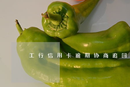 工行信用卡逾期协商追回罚息 工行信用卡逾期协商追回罚息