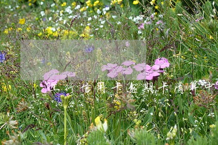 工行信用卡逾期卡清算中心 工行信用卡逾期卡清算中心