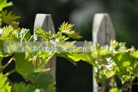 工行信用卡逾期发律师函 工行信用卡逾期发律师函