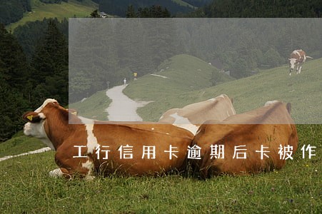 工行信用卡逾期后卡被作废 工行信用卡逾期后卡被作废