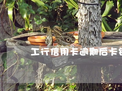 工行信用卡逾期后卡销户 工行信用卡逾期后卡销户