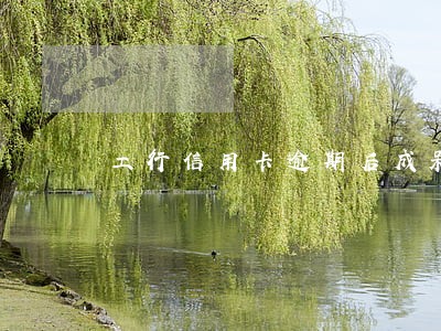 工行信用卡逾期后成呆账