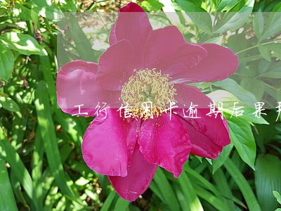 工行信用卡逾期后果严重么