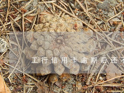 工行信用卡逾期后还不了钱 工行信用卡逾期后还不了钱