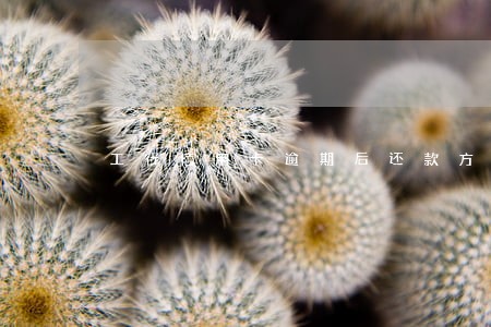 工行信用卡逾期后还款方式 工行信用卡逾期后还款方式