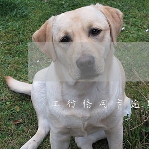 工行信用卡逾期后额度 工行信用卡逾期后额度