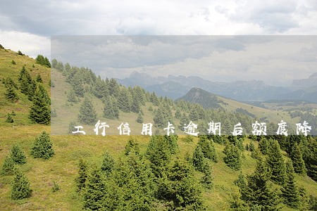 工行信用卡逾期后额度降为零 工行信用卡逾期后额度降为零