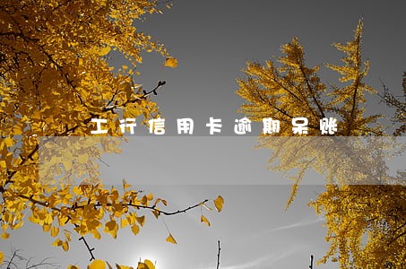 工行信用卡逾期呆账