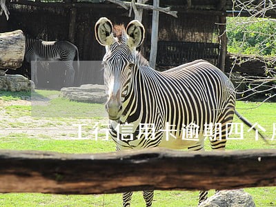工行信用卡逾期四个月零额度 工行信用卡逾期四个月零额度