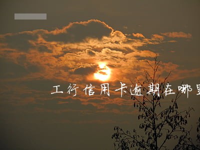工行信用卡逾期在哪里 工行信用卡逾期在哪里