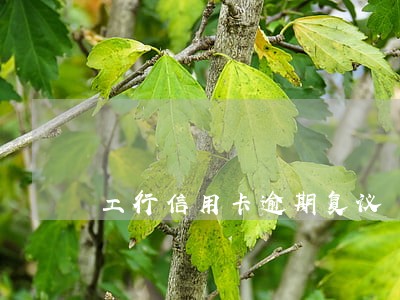 工行信用卡逾期复议 工行信用卡逾期复议