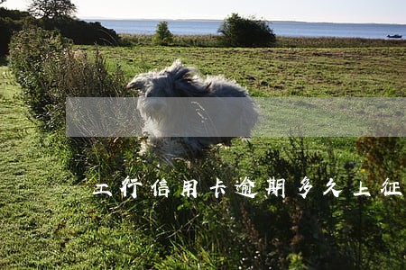 工行信用卡逾期多久上征信记录