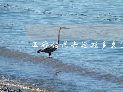 工行信用卡逾期多久上报人行 工行信用卡逾期多久上报人行