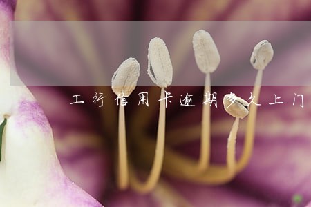 工行信用卡逾期多久上门催收 工行信用卡逾期多久上门催收